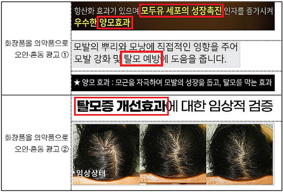 〈자료=식품의약품안전처〉