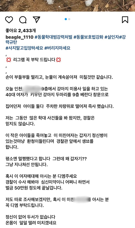 A씨가 SNS에 올린 글. 〈사진=A씨 인스타그램〉