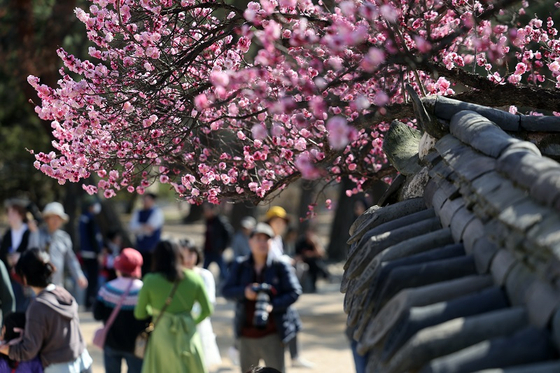 〈사진=연합뉴스〉