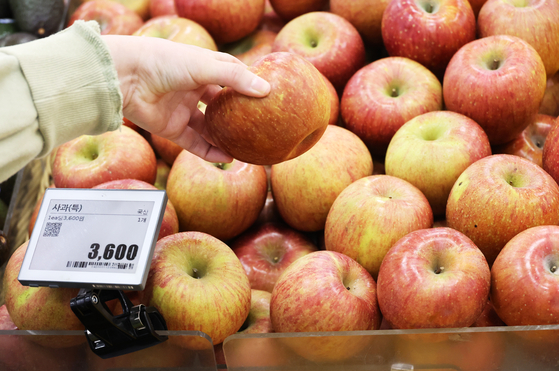 사과 가격이 1년 전보다 88.2% 오른 것으로 조사됐다. 〈사진=연합뉴스〉