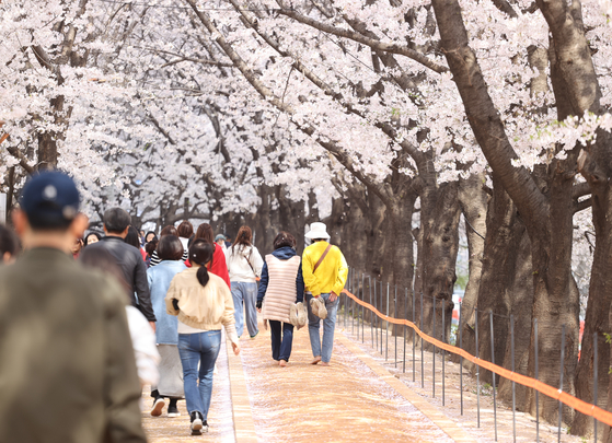 5일 오후 서울 영등포구 안양천 산책로에서 열린 봄꽃-황톳길 축제에서 시민들이 황톳길을 걷고 있다. 〈사진=연합뉴스〉