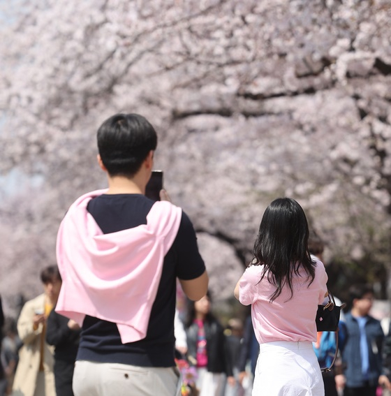 기사와 직접적인 관련 없는 자료 사진. 〈사진=연합뉴스〉