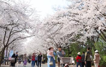 '포근한 봄' 한낮 최고 22도, 큰 일교차 주의…서울 등 건조주의보