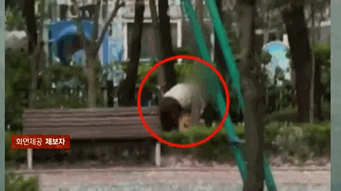 지난 10일, 서울 강남구의 한 아파트 단지 내 공원에서 개털을 깎고 있는 견주의 모습. 〈영상=JTBC'사건반장'〉