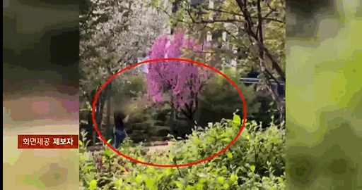 서울 노원구의 한 공원에서 낚싯대 던지는 연습을 하는 남성.〈영상=JTBC '사건반장'〉
