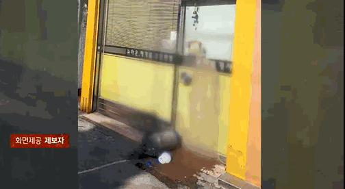 지난 8일 새벽, 한 남성이 서울 성수동 소재의 한 부동산 문 앞에 음식물쓰레기를 투척했다. 〈영상=JTBC'사건반장'〉