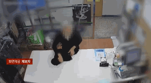 한 노인이 세탁소에서 사장의 멱살을 잡는 모습. 〈영상=JTBC '사건반장'〉