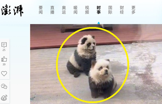 〈사진=중국 매체 '더페이퍼' 캡처〉