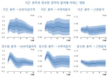 올해도 비 많이 온다는데...“물가엔 '기온'보다 '강수량'이 치명적“