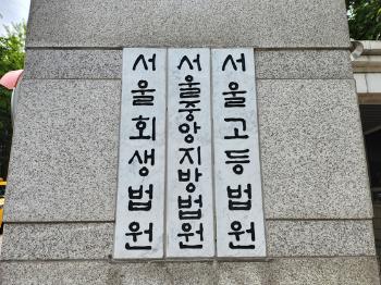 법원 “한진家 증여세 140억 중 23억 취소“