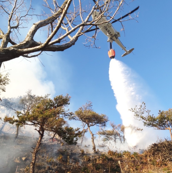 전남 보성 야산 화재 진화 〈사진=산림청〉