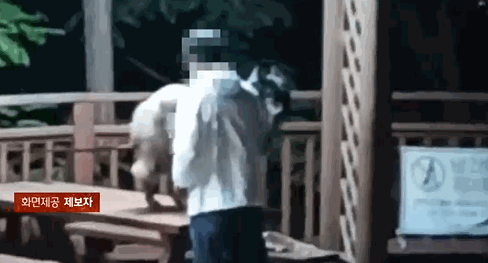 한 주민이 아파트 입구 앞 벤치에 개를 올려놓고 털을 빗기는 모습. 〈영상=JTBC '사건반장'〉