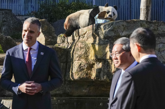현지시간 16일 호주 애들레이드 동물원을 방문한 리창 중국 총리(오은쪽에서 두번째). 뒤로 보이는 판다는 올해 말 중국으로 반환될 예정이다. (사진출처=AP)