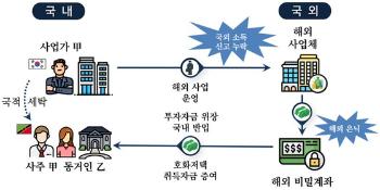 국적 세탁 후 호화생활…역외탈세 혐의 41명 세무조사