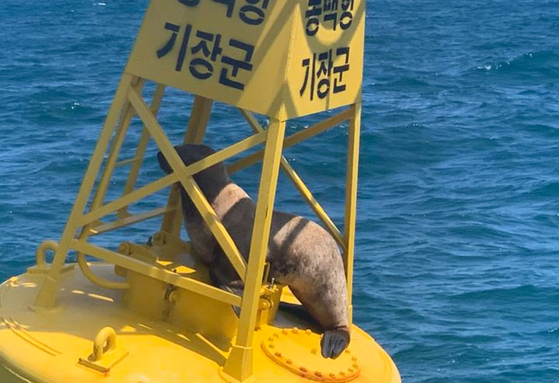 울산해양경찰서 제공