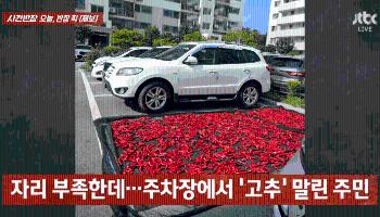 [사반 제보] '햇볕 받기 딱 좋아!'...주차장 차지한 '고추'