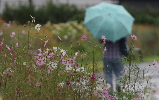 지난 12일 서울의 한 공원에서 우산을 쓴 시민들이 걸어가고 있다. 〈사진=연합뉴스〉 