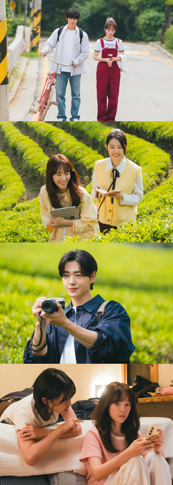 JTBC 드라마 미혼남녀의 효율적 만남 관련 이미지